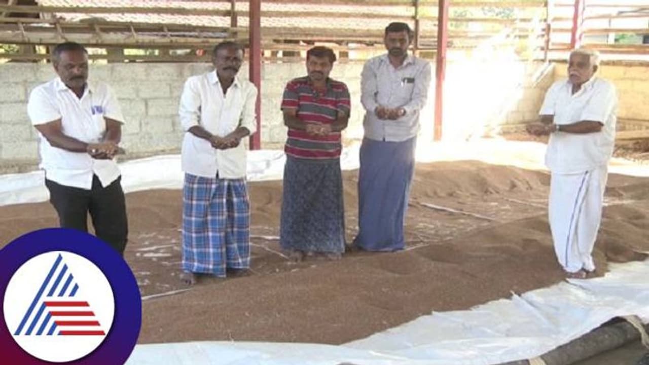 ಚಿಕ್ಕಮಗಳೂರು: ರಾಗಿ ರೈತರಿಗೆ ವರ್ತಕರು, ಅಧಿಕಾರಿಗಳಿಂದ ಧೋಖಾ...? 