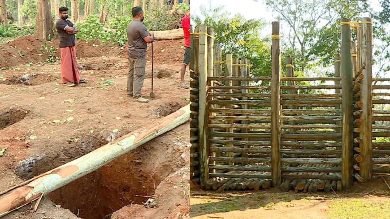 പി ടി സെവന്റെ ശൌര്യമൊതുക്കാന് യൂക്കാലിപ്റ്റ്സ് കൂട് പി ടി സെവന്റെ ശൌര്യമൊതുക്കാന് യൂക്കാലിപ്റ്റ്സ് കൂട്