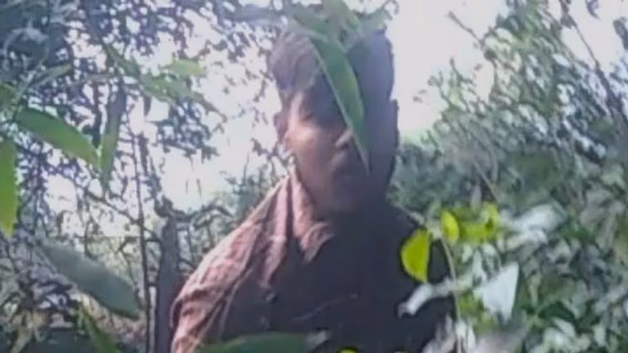 वृद्ध महिलाओं की नृशंस हत्या: बाराबंकी पुलिस नहीं लगा पाई सीरियल किलर का पता, STF से मांगी गई मदद वृद्ध महिलाओं की नृशंस हत्या: बाराबंकी पुलिस नहीं लगा पाई सीरियल किलर का पता, STF से मांगी गई मदद