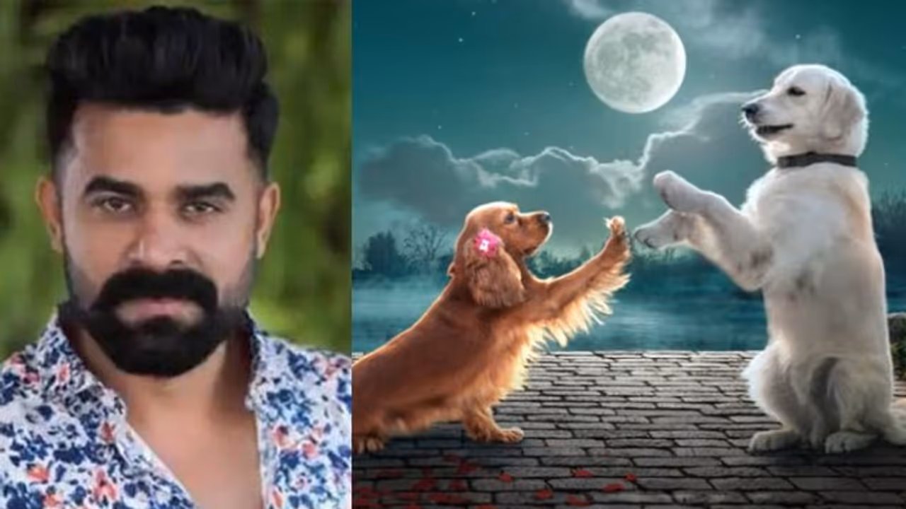 'മോളിവുഡിൽ നിന്നുള്ള അത്ഭുത പരീക്ഷണം'; ഫ്രൈഡേ ഫിലിം ഹൗസിന്റെ 'വാലാട്ടി' വരുന്നു