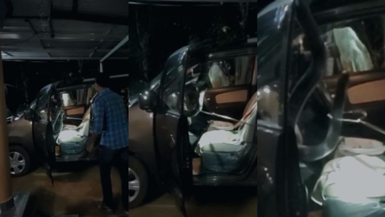 നിര്‍ത്തിയിട്ട കാറിനുള്ളില്‍ അനക്കം, 30 കിലോ തൂക്കമുള്ള വമ്പന്‍ രാജവെമ്പാല; വനംവകുപ്പെത്തി പിടികൂടി