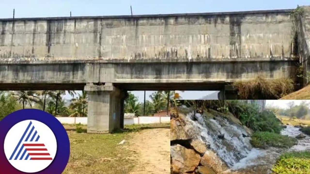 Kodagu:ಬಿರುಕು ಬಿಟ್ಟ ಕಾವೇರಿ ನಾಲೆಗಳು: ನೀರು ಪೋಲಾಗಿ ಕೊನೆ ಭಾಗರದ ರೈತರ ಪರದಾಟ