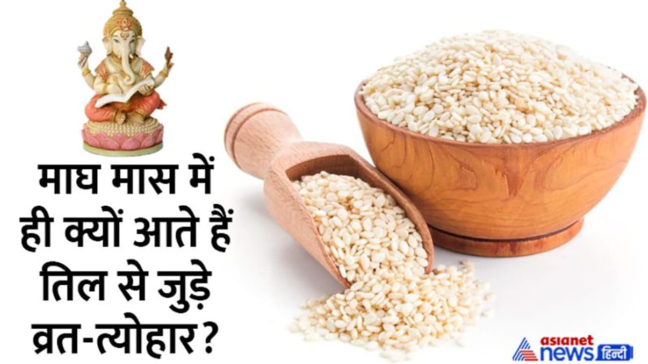 Til Chaturthi 2023: पूजा में तिल का उपयोग क्यों करते हैं, क्या आप जानते हैं तिल से जुड़ी ये बातें? Til Chaturthi 2023: पूजा में तिल का उपयोग क्यों करते हैं, क्या आप जानते हैं तिल से जुड़ी ये बातें?