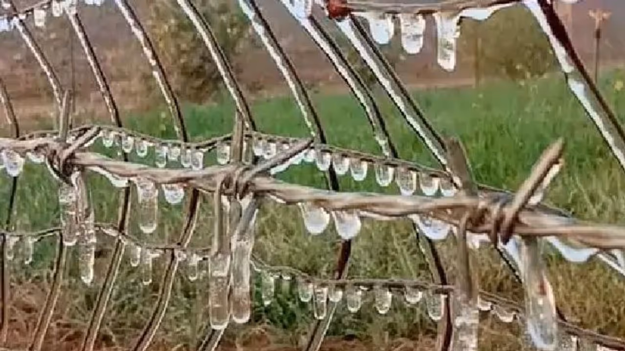 राजस्थान में जानिए कैसी पड़ रही है ठंड, शीतलहर के बीच हो सकती है बारिश, मौसम विभाग ने जारी किया अलर्ट राजस्थान में जानिए कैसी पड़ रही है ठंड, शीतलहर के बीच हो सकती है बारिश, मौसम विभाग ने जारी किया अलर्ट