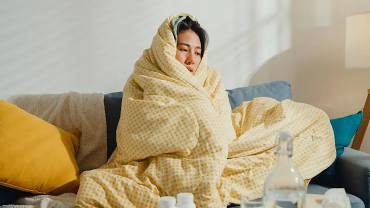 Want to avoid Delhi's cold wave? Here are 7 places in India where you can spend THIS winter