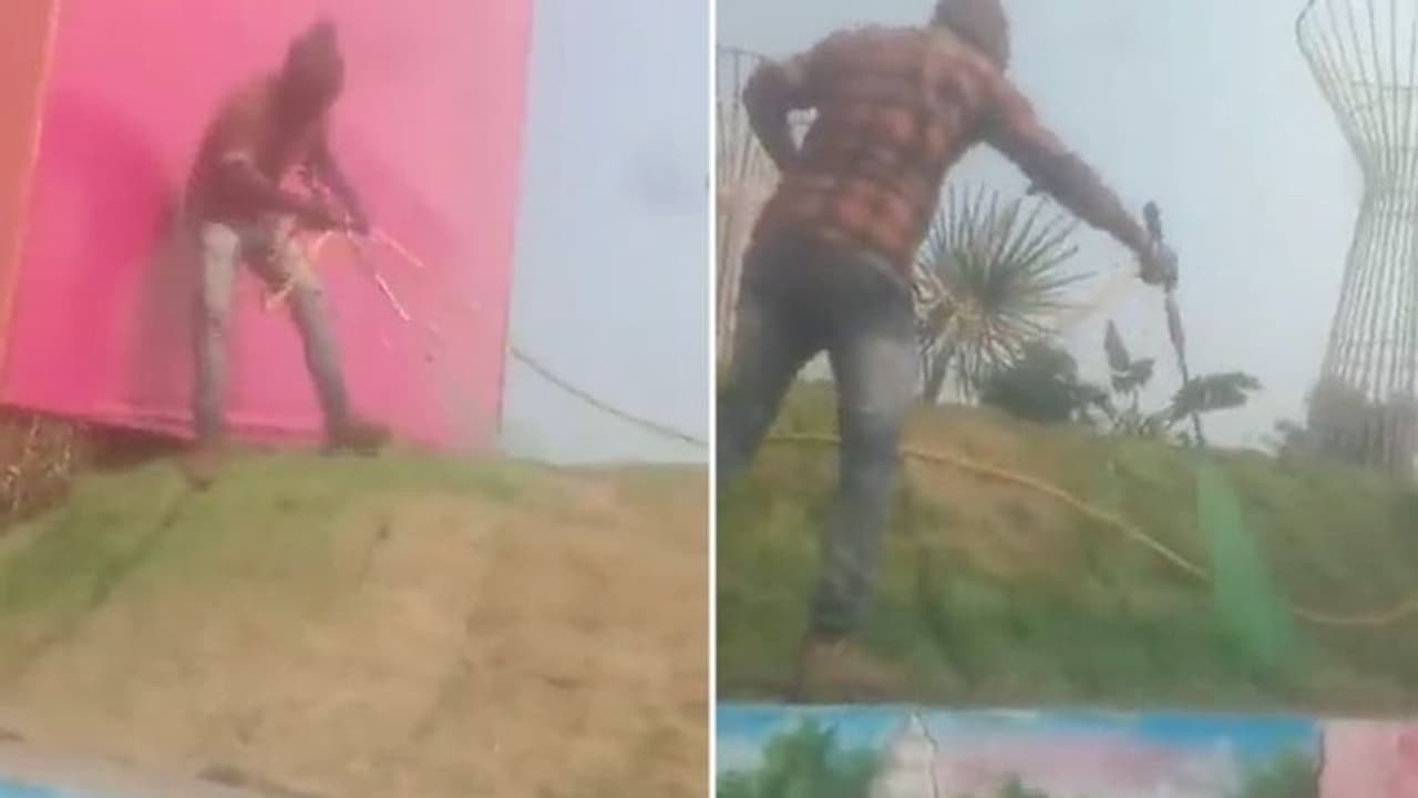 Pravasi Bharatiya Divas: Congress slams BJP over video showing man 'spray painting' dry grass in Indore