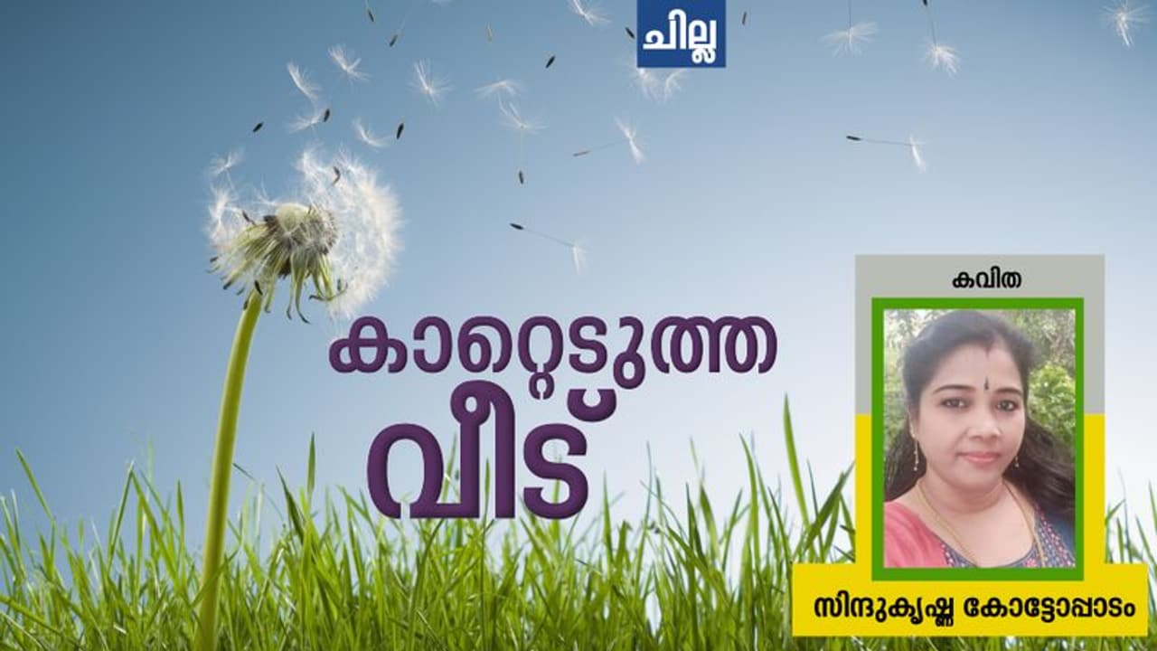 Malayalam Poems: കാറ്റെടുത്ത വീട്, സിന്ദുകൃഷ്ണ കോട്ടോപ്പാടം എഴുതിയ രണ്ട് കവിതകള് Malayalam Poems: കാറ്റെടുത്ത വീട്, സിന്ദുകൃഷ്ണ കോട്ടോപ്പാടം എഴുതിയ രണ്ട് കവിതകള്