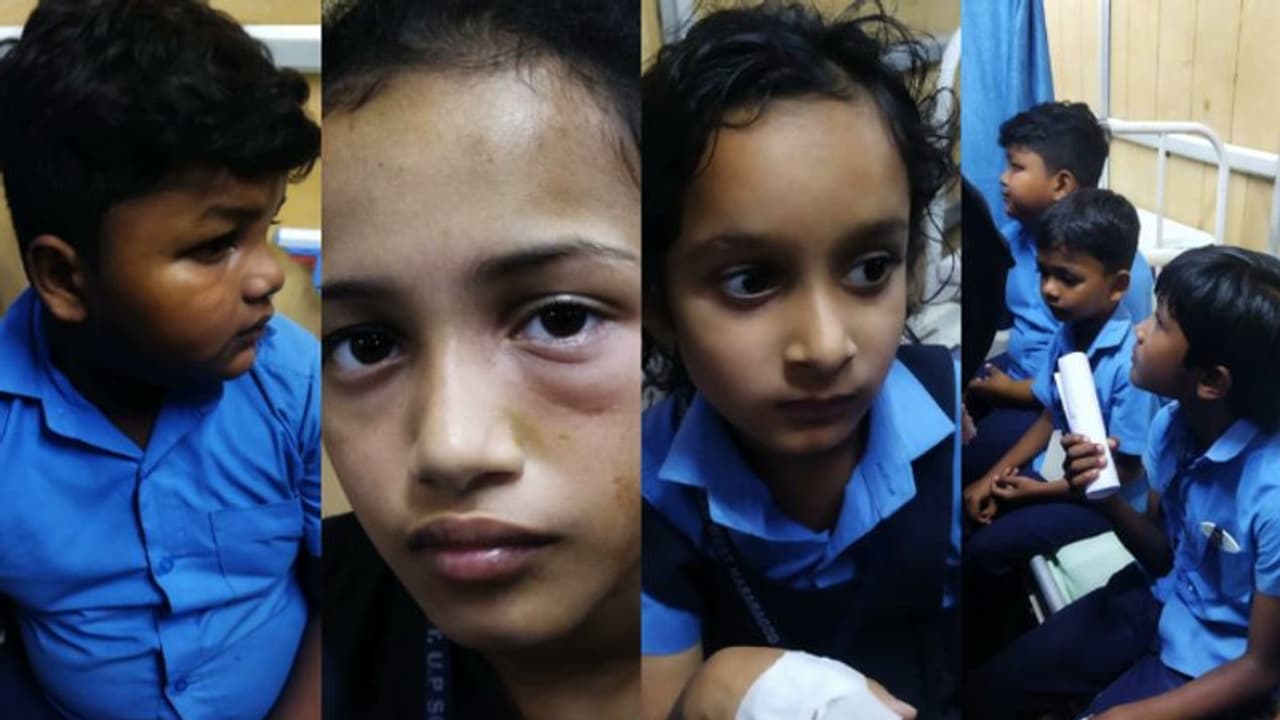 ഓടുന്ന ഓട്ടോയിൽ കടന്നൽ ആക്രമണം; 9 വിദ്യാർത്ഥികൾക്കും ഡ്രൈവർക്കും കുത്തേറ്റു ഓടുന്ന ഓട്ടോയിൽ കടന്നൽ ആക്രമണം; 9 വിദ്യാർത്ഥികൾക്കും ഡ്രൈവർക്കും കുത്തേറ്റു