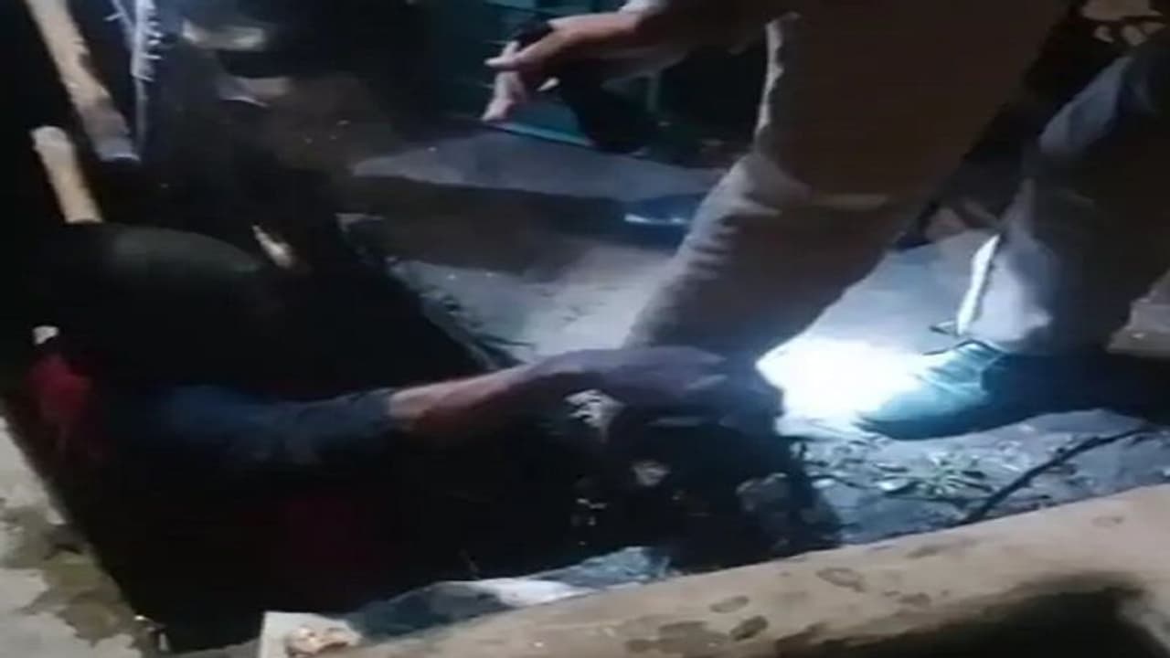 पुलिसकर्मी ने अपनी जान पर खेलकर बचाई पिल्लों की जान, वीडियो सामने आने के बाद जमकर हो रही तारीफ पुलिसकर्मी ने अपनी जान पर खेलकर बचाई पिल्लों की जान, वीडियो सामने आने के बाद जमकर हो रही तारीफ