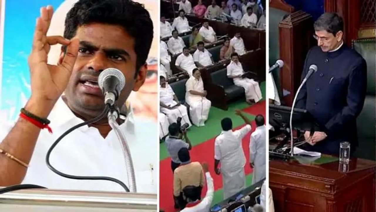 தமிழகத்தின் தலைமகன் பொய் சொல்ல முடியுமா? எல்லாமே அவங்க நாடகம்.! திமுகவை வெளுத்து வாங்கிய பாஜக அண்ணாமலை