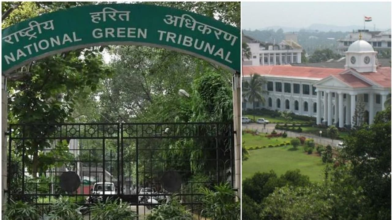 'സർക്കാരിന്‍റെ അലംഭാവം അനുവദിക്കില്ല'; തണ്ണീർത്തട സംരക്ഷണ ഉത്തരവ് നടപ്പാക്കാത്തതിൽ കേരളത്തിന് രൂക്ഷ വിമർശനം