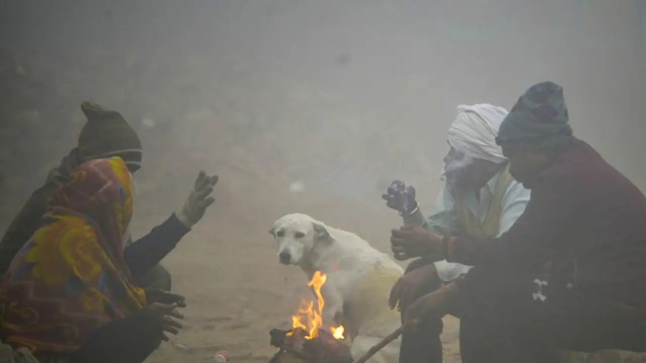 IMD issues yellow alert in Delhi-NCR over cold wave; dense fog to continue for 6 days