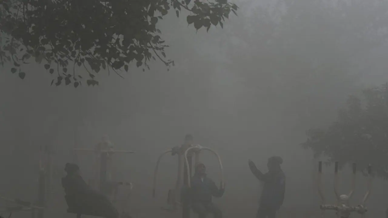 Cold wave alert in Delhi NCR! Temperature likely to touch 0 degrees Celsius; Here's what we know Cold wave alert in Delhi NCR! Temperature likely to touch 0 degrees Celsius; Here's what we know