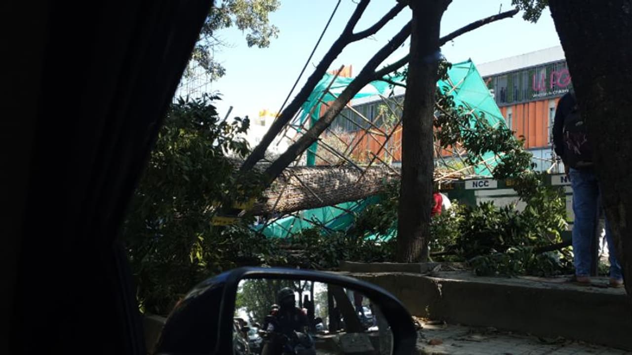 ബെംഗളുരു മെട്രോയുടെ തൂൺ തകർന്നുവീണു; അമ്മയും രണ്ടര വയസുള്ള കുഞ്ഞും കൊല്ലപ്പെട്ടു, പിതാവിനും മകള്ക്കും പരിക്ക് ബെംഗളുരു മെട്രോയുടെ തൂൺ തകർന്നുവീണു; അമ്മയും രണ്ടര വയസുള്ള കുഞ്ഞും കൊല്ലപ്പെട്ടു, പിതാവിനും മകള്ക്കും പരിക്ക്