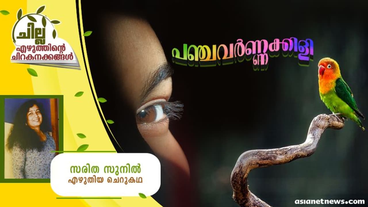 Malayalam Short Story ; പഞ്ചവര്ണ്ണക്കിളി, സരിത സുനില് എഴുതിയ ചെറുകഥ Malayalam Short Story ; പഞ്ചവര്ണ്ണക്കിളി, സരിത സുനില് എഴുതിയ ചെറുകഥ