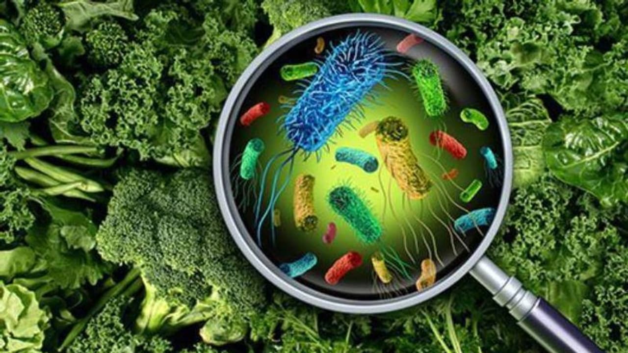 കണ്ണൂരിൽ വിവാഹ വീട്ടിൽ നിന്ന് ഭക്ഷണം കഴിച്ചവർക്ക് ഭക്ഷ്യവിഷബാധ, 20 പേർ ചികിത്സ തേടി കണ്ണൂരിൽ വിവാഹ വീട്ടിൽ നിന്ന് ഭക്ഷണം കഴിച്ചവർക്ക് ഭക്ഷ്യവിഷബാധ, 20 പേർ ചികിത്സ തേടി