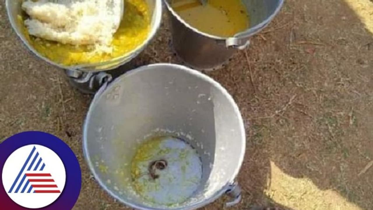 ಬಿಸಿಯೂಟದಲ್ಲಿ ಹಾವು: 30 ಮಕ್ಕಳು ಅಸ್ವಸ್ಥ, ಆಸ್ಪತ್ರೆಗೆ ದಾಖಲು; ಪೋಷಕರಿಂದ ತೀವ್ರ ಆಕ್ರೋಶ ಬಿಸಿಯೂಟದಲ್ಲಿ ಹಾವು: 30 ಮಕ್ಕಳು ಅಸ್ವಸ್ಥ, ಆಸ್ಪತ್ರೆಗೆ ದಾಖಲು; ಪೋಷಕರಿಂದ ತೀವ್ರ ಆಕ್ರೋಶ