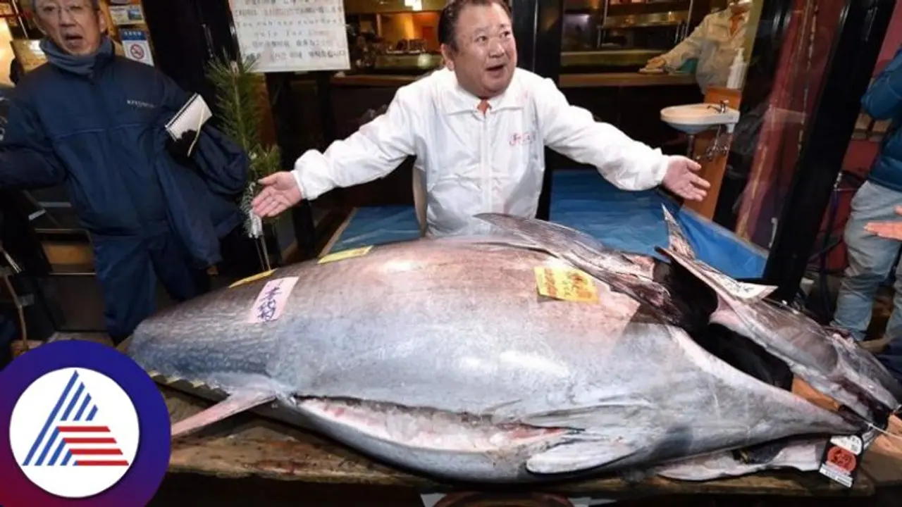 ಅಬ್ಬಬ್ಬಾ..ಒಂದೇ ಒಂದು ಮೀನಿನ ಬೆಲೆ ಭರ್ತಿ 2 ಕೋಟಿ ರೂ. ಯಾಕಿಷ್ಟು ದುಬಾರಿ ?