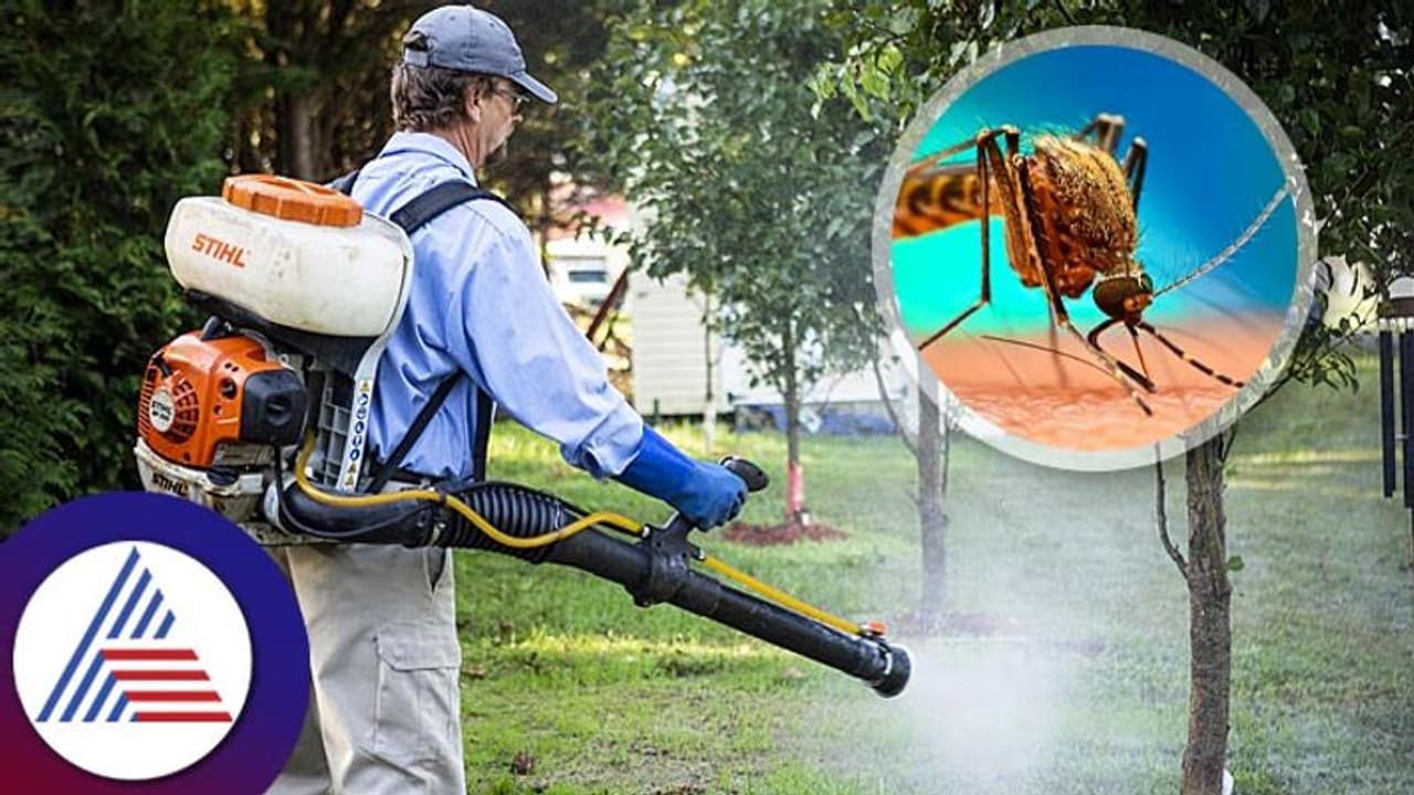 Home Remedies : ಸೊಳ್ಳೆ ಮನೆ ಹತ್ರನೂ ಬರಬಾರದು ಅಂದ್ರೆ ಈ ಸ್ಪ್ರೇ ಬಳಸಿ Home Remedies : ಸೊಳ್ಳೆ ಮನೆ ಹತ್ರನೂ ಬರಬಾರದು ಅಂದ್ರೆ ಈ ಸ್ಪ್ರೇ ಬಳಸಿ