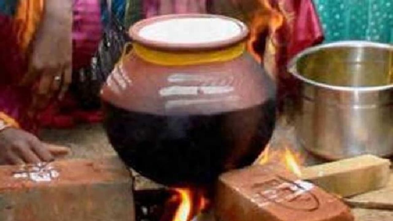  இந்த பொங்கலுக்கு பாரம்பரிய முறையில் வரகரிசி சர்க்கரை பொங்கல் செய்து மகிழலாம் வாங்க!