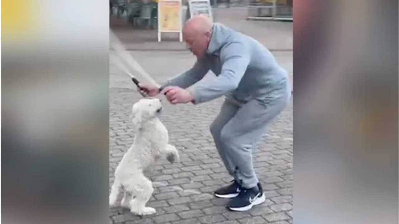 സ്‌കിപ്പിംഗ് ചെയ്യുന്ന നായ; ലോക റെക്കോര്‍ഡ് സ്വന്തമാക്കിയ വീഡിയോ വൈറല്‍