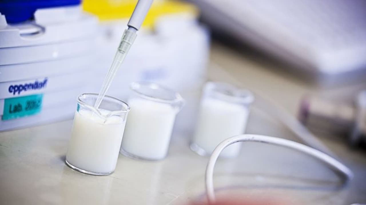 'ശ്രദ്ധ വേണം': കേരളത്തിലെത്തുന്ന പാലില് വ്യാപകമായി മായം... 'ശ്രദ്ധ വേണം': കേരളത്തിലെത്തുന്ന പാലില് വ്യാപകമായി മായം...