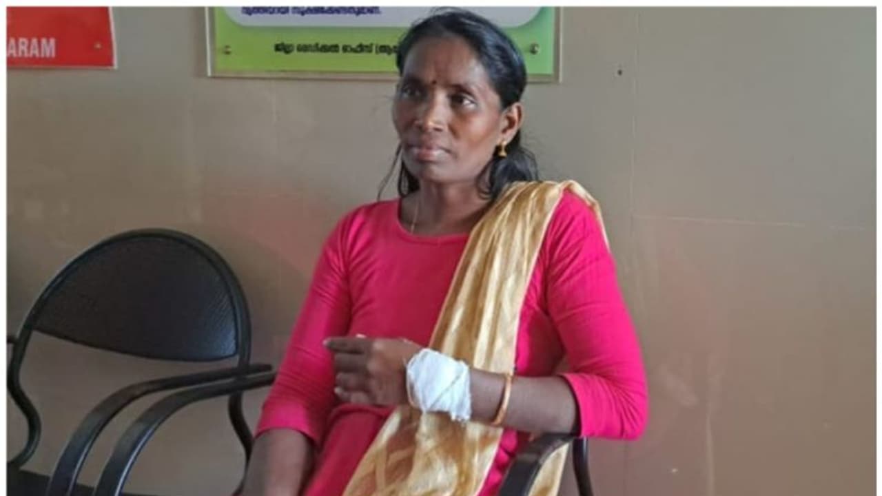 പനമരത്ത് യുവതിയെ ആക്രമിച്ചത് മുതലയോ ചീങ്കണ്ണിയോ എന്ന് ഉറപ്പിക്കാനാകാതെ വനംവകുപ്പ്