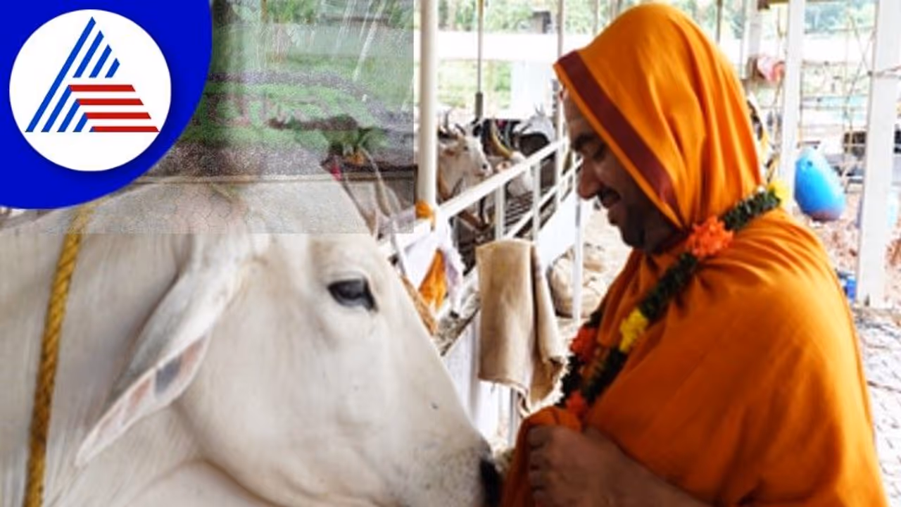 GouSwarga: ಇಂದಿನಿಂದ ಭಾನ್ಕುಳಿ ಗೋಸ್ವರ್ಗದಲ್ಲಿ ಗೋವು ದಿನ ಆಚರಣೆ