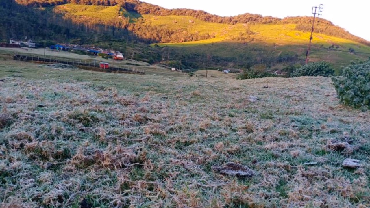 കേരളത്തിന്‍റെ മണാലി, തണുത്തുറഞ്ഞ് മൂന്നാര്‍; ഇന്നും താപനില പൂജ്യം ഡിഗ്രി