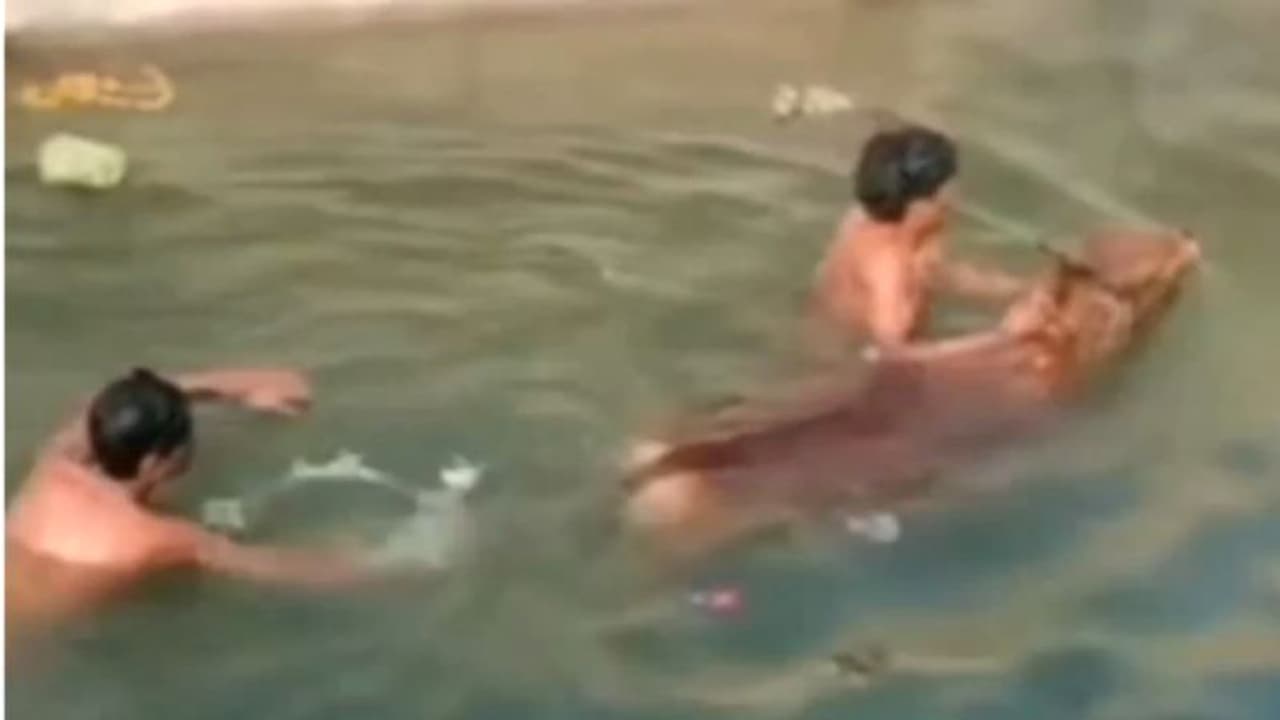 'नेकी कमानी पड़ती है' इन 2 मजदूरों का साहसी कारनामा देख आप भी यही कहेंगे, पीठ पीछे लोग करते रहे तारीफ 'नेकी कमानी पड़ती है' इन 2 मजदूरों का साहसी कारनामा देख आप भी यही कहेंगे, पीठ पीछे लोग करते रहे तारीफ