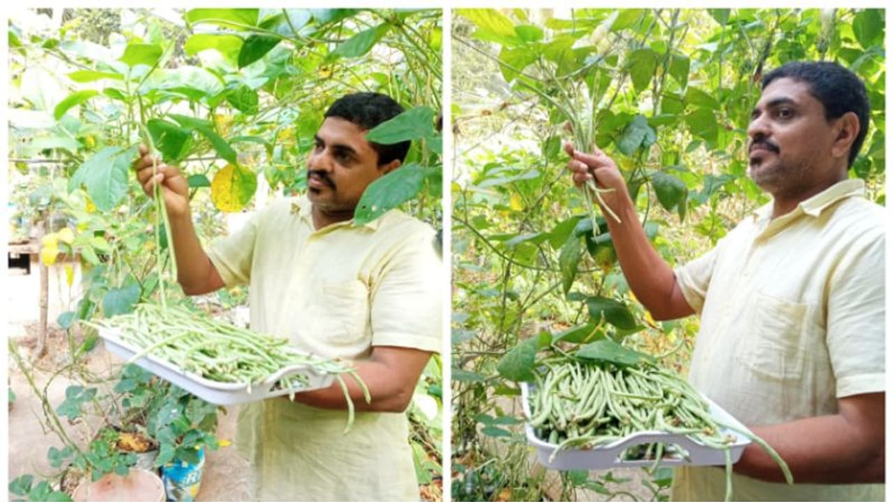 ജൈവകൃഷിത്തോട്ടം, പേന ശേഖരണം, ബോൺസായ് വളർത്തൽ; പരിമിതികളോട് പോരാടി സമീർ തിരക്കിലാണ്... ജൈവകൃഷിത്തോട്ടം, പേന ശേഖരണം, ബോൺസായ് വളർത്തൽ; പരിമിതികളോട് പോരാടി സമീർ തിരക്കിലാണ്...