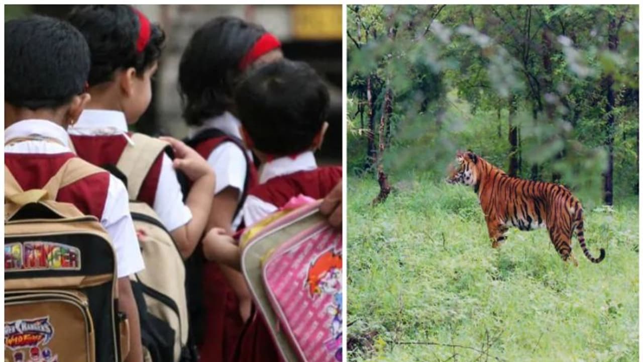 കടുവയിറങ്ങി, വയനാട്ടിൽ രണ്ട് പഞ്ചായത്തുകളിലെ വിദ്യാഭ്യാസ സ്ഥാപനങ്ങള്‍ക്ക് അവധി, നാളെ യുഡിഎഫ് ഹർത്താൽ 