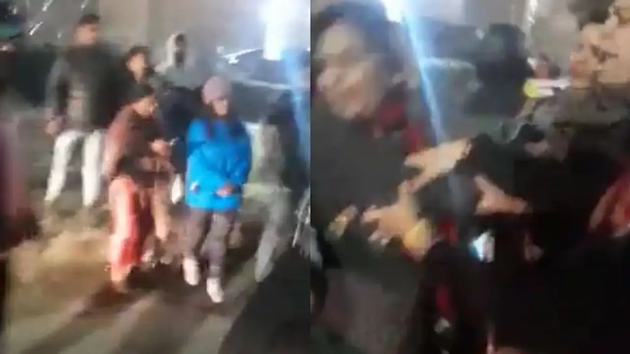 ಬೀದಿ ನಾಯಿಗಾಗಿ ಜುಟ್ಟು ಜುಟ್ಟು ಹಿಡಿದು ಕಿತ್ತಾಡಿಕೊಂಡ ನಾರಿಯರು... ವಿಡಿಯೋ ವೈರಲ್ 