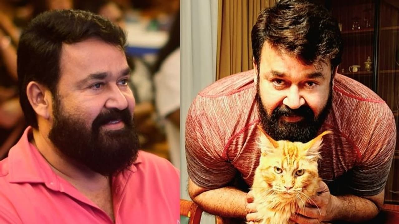 'സിംബ സെയ്സ് ഹലോ'; വളര്‍ത്തുപൂച്ചയ്‍ക്കൊപ്പമുള്ള ചിത്രം പങ്കുവച്ച് മോഹന്‍ലാല്‍