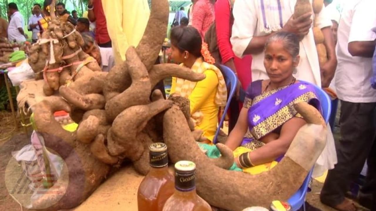Uttar Kannada: ಜೊಯಿಡಾದಲ್ಲಿ ಆಕರ್ಷಕ ಗೆಡ್ಡೆ, ಗೆಣಸು ಮೇಳ: 5 ಕೆ.ಜಿ.ಗಿಂತ ಅಧಿಕ ತೂಕ..! Uttar Kannada: ಜೊಯಿಡಾದಲ್ಲಿ ಆಕರ್ಷಕ ಗೆಡ್ಡೆ, ಗೆಣಸು ಮೇಳ: 5 ಕೆ.ಜಿ.ಗಿಂತ ಅಧಿಕ ತೂಕ..!