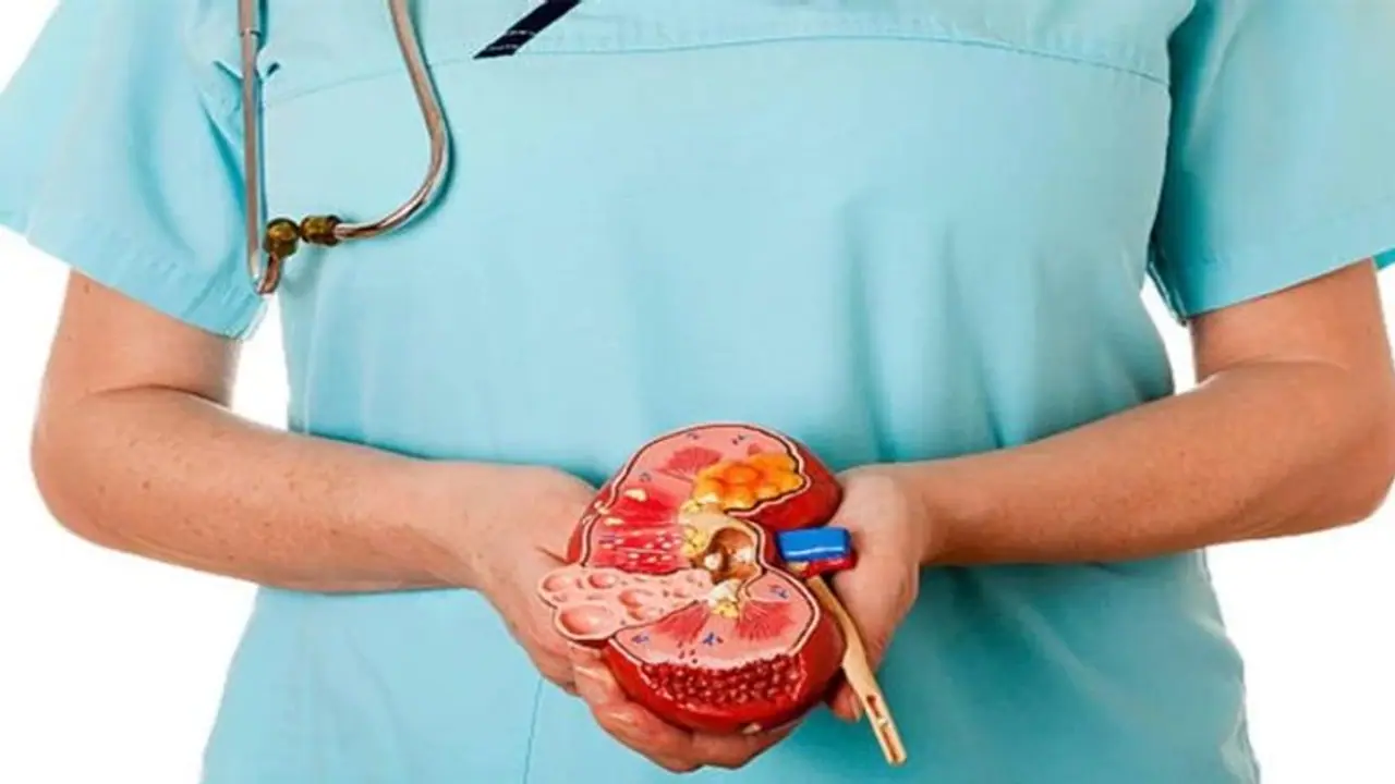 ಬೆಳಗಾವಿ: ಕಿಡ್ನಿ ಕೊಟ್ಟು ಮಗನ ಉಳಿಸಿಕೊಂಡ ತಾಯಿಗೆ ಆರ್ಥಿಕ ಸಂಕಷ್ಟ, ಮಹಾದಾನಿಗೆ ಬೇಕಿದೆ ಸಹಾಯಹಸ್ತ