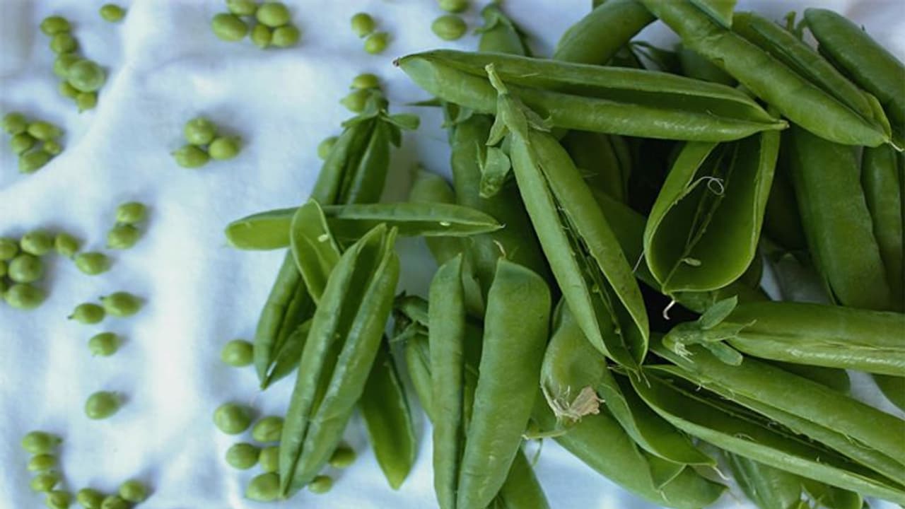 क्या आप भी छीलकर फेंक देते हैं मटर के छिलके? जानें इसके फायदे और इस्तेमाल करने का तरीका क्या आप भी छीलकर फेंक देते हैं मटर के छिलके? जानें इसके फायदे और इस्तेमाल करने का तरीका