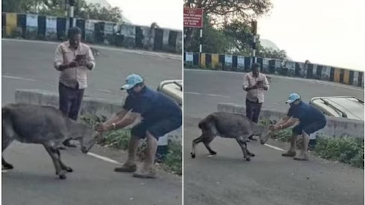 വരയാടിന്റെ കൊമ്പില് പിടിച്ച് നിര്ത്തി ഫോട്ടോ: മലയാളി വൈദികനും സുഹൃത്തും അറസ്റ്റില്, ജയില് വാസം വരയാടിന്റെ കൊമ്പില് പിടിച്ച് നിര്ത്തി ഫോട്ടോ: മലയാളി വൈദികനും സുഹൃത്തും അറസ്റ്റില്, ജയില് വാസം