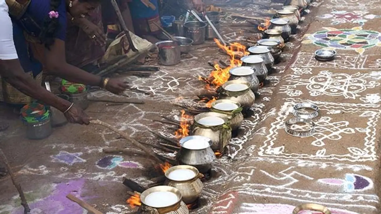Bhogi Pongal 2023: 4 दिनों तक मनाते हैं पोंगल, पहले दिन को कहते हैं भोगी, जानें क्या क्या होता है इस दिन? 