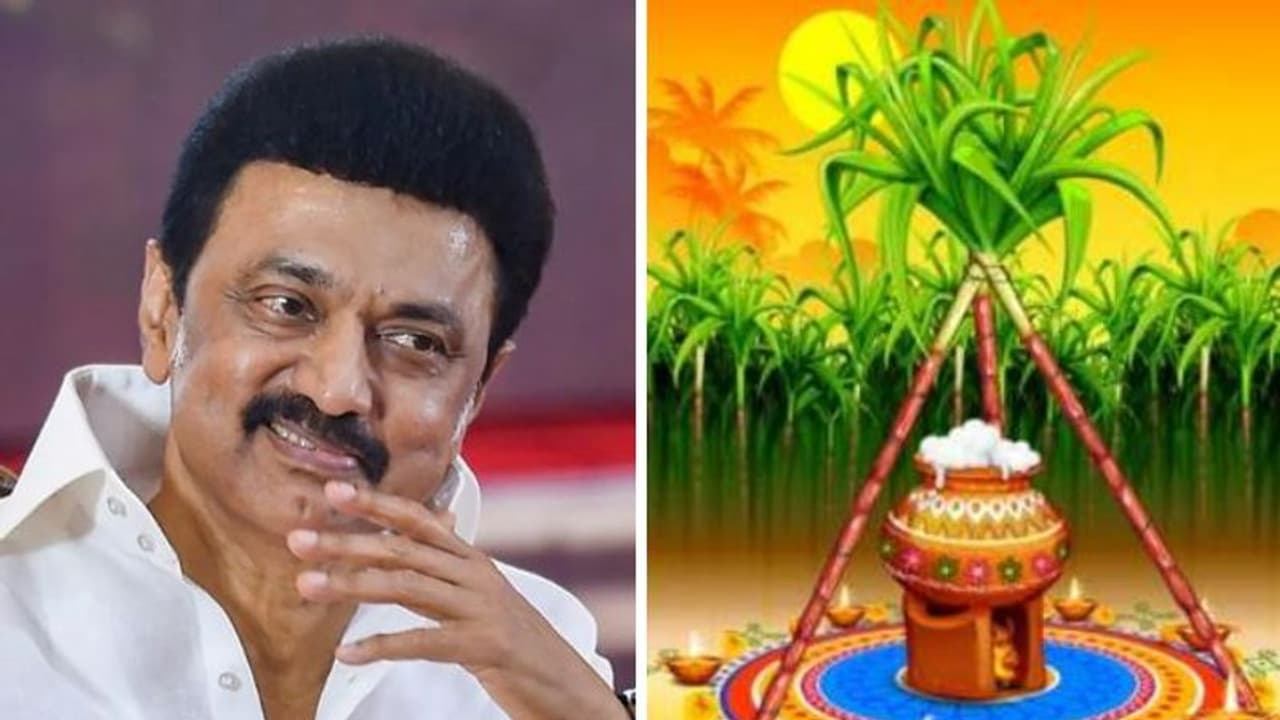 Pongal 2023: “செங்கரும்பைப் போல மக்கள் வாழ்வு தித்திக்கட்டும்”.. முதலமைச்சர் மு.க.ஸ்டாலின் பொங்கல் வாழ்த்து!