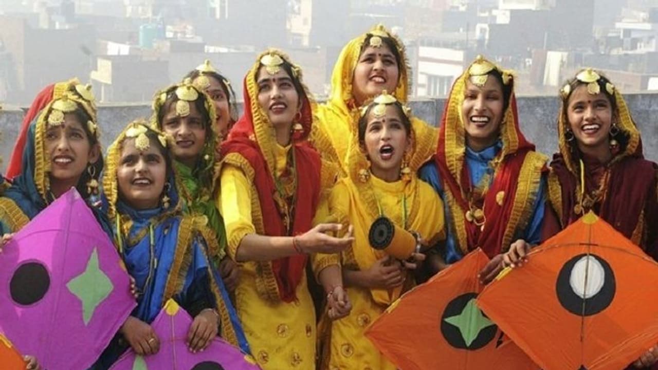 राजस्थान में इस मकर सक्रांति ने तोड़ दिए कई रिकॉर्ड : डेढ़ अरब के पतंग मांझे बिके, लेकिन एक दिन 700 लोग घायल राजस्थान में इस मकर सक्रांति ने तोड़ दिए कई रिकॉर्ड : डेढ़ अरब के पतंग मांझे बिके, लेकिन एक दिन 700 लोग घायल