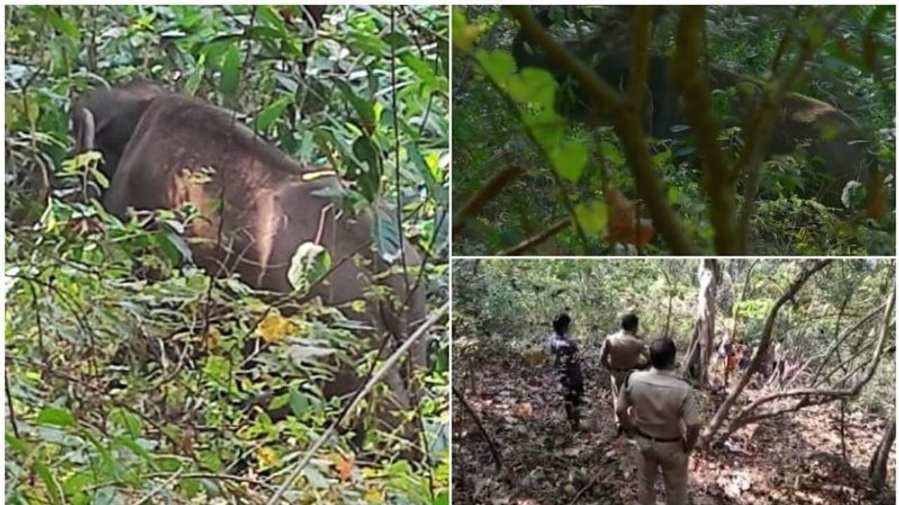 'കുരുന്ന് വിട്ടുപോയതറിയാതെ രാവും പകലും കൂട്ടിരുന്ന് അമ്മയാന', വിതുരയിലെ കരളലിയിക്കുന്ന കാഴ്ച