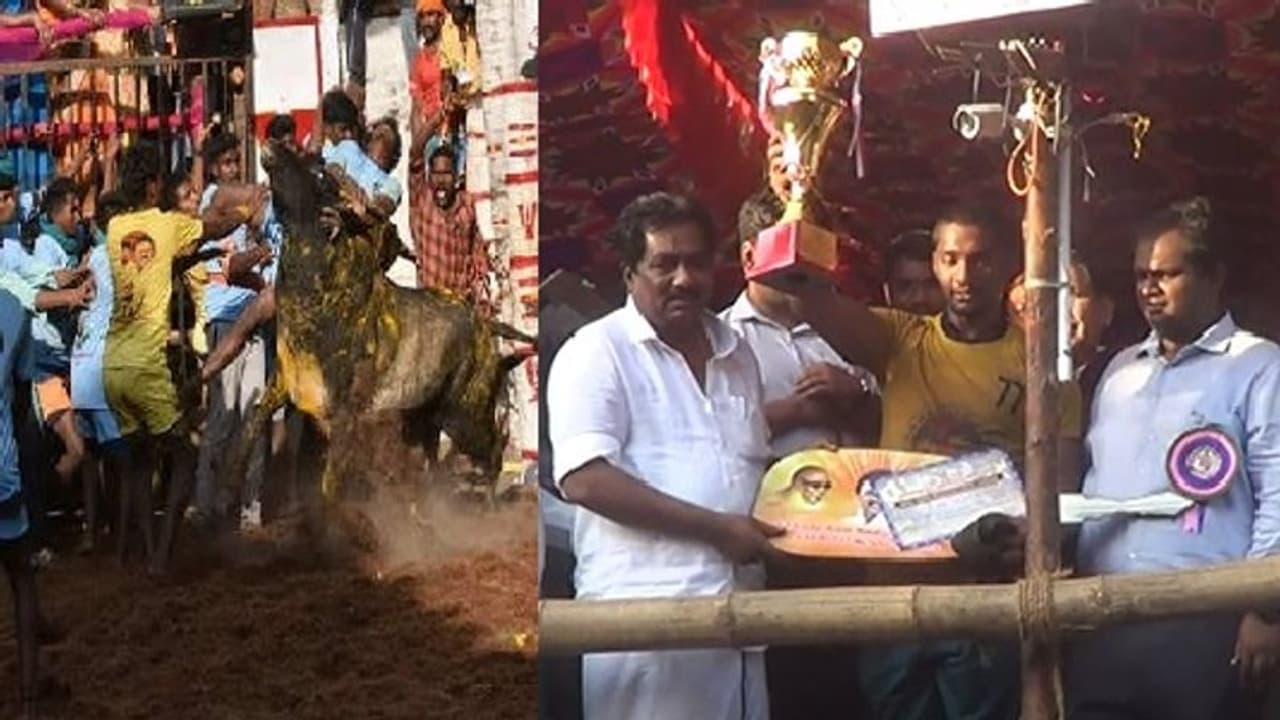 அவனியாபுரம் ஜல்லிகட்டு நிறைவு... 28 காளைகளை அடக்கிய விஜய் என்பவருக்கு முதல் பரிசு!! அவனியாபுரம் ஜல்லிகட்டு நிறைவு... 28 காளைகளை அடக்கிய விஜய் என்பவருக்கு முதல் பரிசு!!