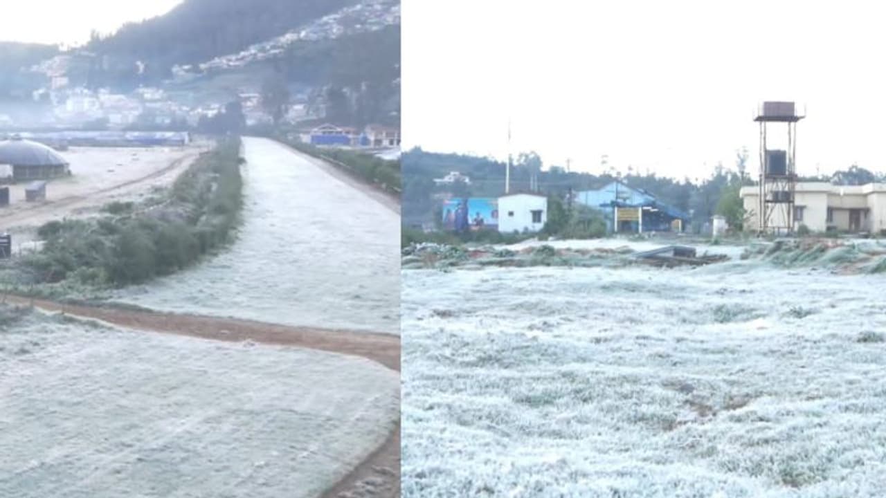 'ഇത്തവണത്തെ തണുപ്പ് കടുപ്പം' ഊട്ടിയിൽ തണുപ്പിന് നേരിയ ശമനം, കൊടും തണുപ്പിൽ സഞ്ചാരികളുടെ വരവും കുറവ് 'ഇത്തവണത്തെ തണുപ്പ് കടുപ്പം' ഊട്ടിയിൽ തണുപ്പിന് നേരിയ ശമനം, കൊടും തണുപ്പിൽ സഞ്ചാരികളുടെ വരവും കുറവ്
