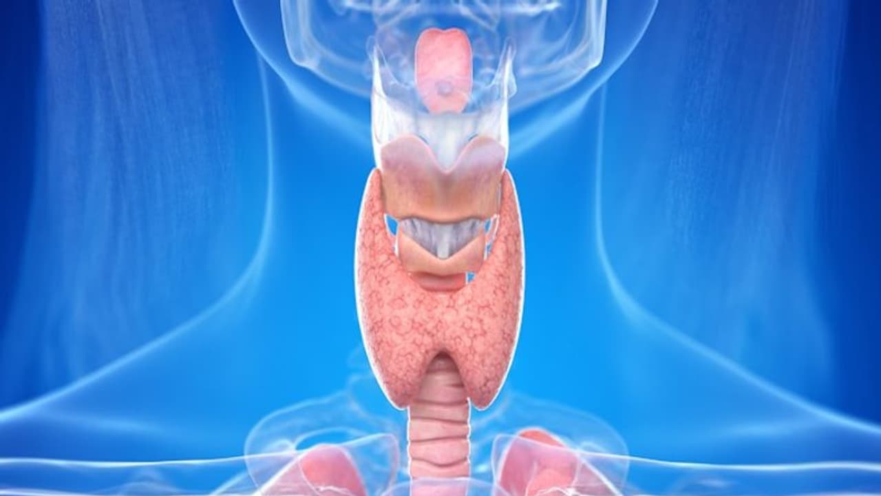 Hypothyroidism in Children: Treatment, symptoms and cause, know from the expert Hypothyroidism in Children: Treatment, symptoms and cause, know from the expert