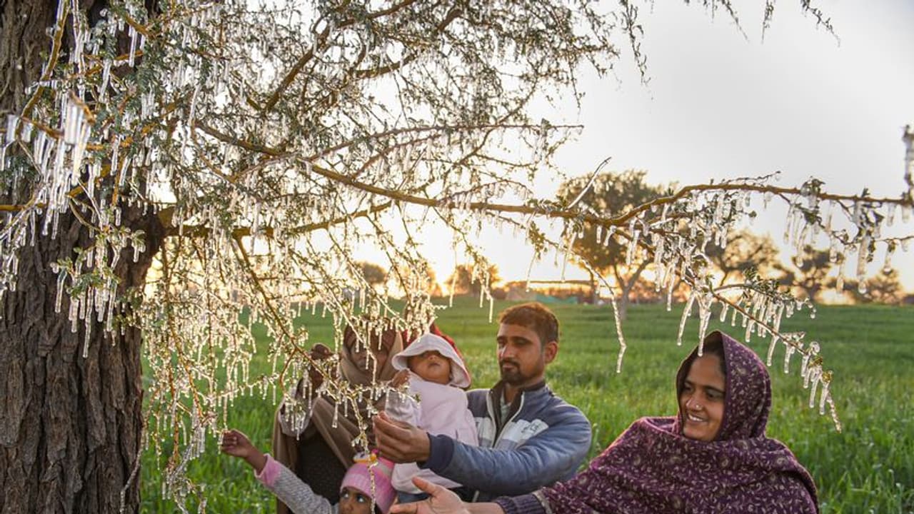 Weather Report: हरियाणा, यूपी और राजस्थान में पाले का अलर्ट, अभी नहीं मिलेगी सर्दी से राहत Weather Report: हरियाणा, यूपी और राजस्थान में पाले का अलर्ट, अभी नहीं मिलेगी सर्दी से राहत