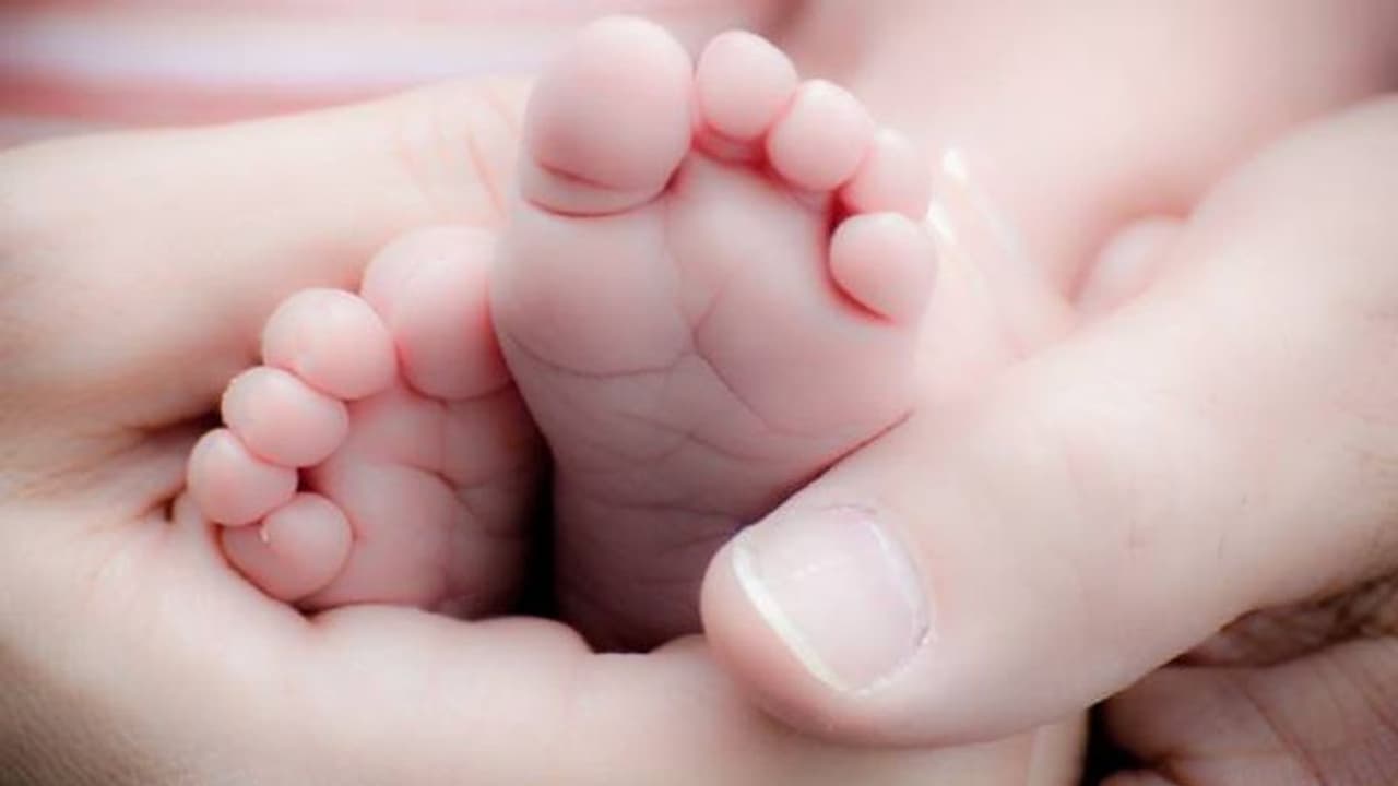 അട്ടപ്പാടിയിൽ വീണ്ടും നവജാതശിശു മരണം, തൂക്കം 870 ഗ്രാം മാത്രം; അമ്മ അരിവാൾ രോഗബാധിത അട്ടപ്പാടിയിൽ വീണ്ടും നവജാതശിശു മരണം, തൂക്കം 870 ഗ്രാം മാത്രം; അമ്മ അരിവാൾ രോഗബാധിത