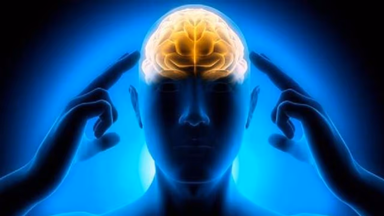 ബ്രെയിനിനെ ഹെൽത്തിയായി സംരക്ഷിക്കാൻ ഇതാ ചില മാർ​ഗങ്ങൾ