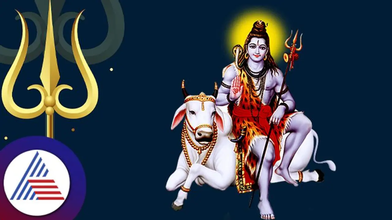 Maha Shivaratri 2024 : கால சர்ப்ப தோஷத்தில் இருந்து விடுபட மகா சிவராத்திரி அன்று இந்த பாரிகாரத்தை செய்யுங்கள்!