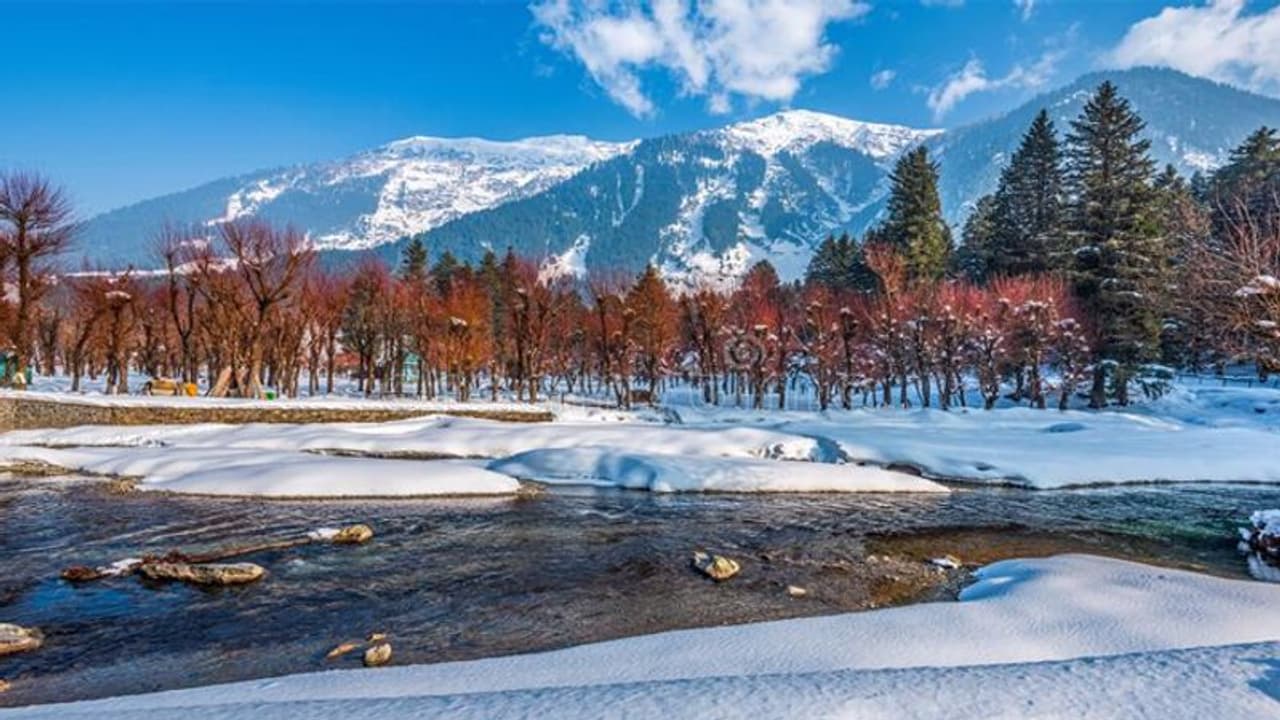 കശ്മീരിൽ ഈ വ്യവസായങ്ങൾ പച്ചപിടിക്കും; മികച്ച 10 ബിസിനസ്സ് ആശയങ്ങൾ കശ്മീരിൽ ഈ വ്യവസായങ്ങൾ പച്ചപിടിക്കും; മികച്ച 10 ബിസിനസ്സ് ആശയങ്ങൾ